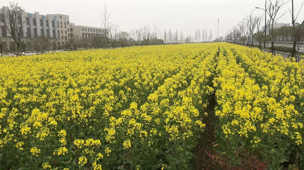 户外团建 单位团建 风去过的地方